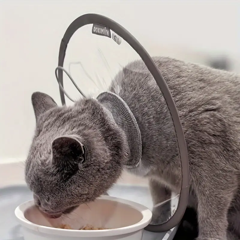 ArtemisTreats™ Recovery Collar - Post-Care Support Collection
