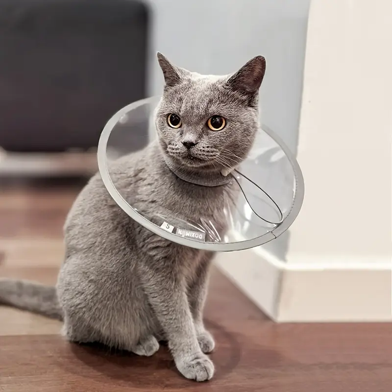 ArtemisTreats™ Recovery Collar - Post-Care Support Collection