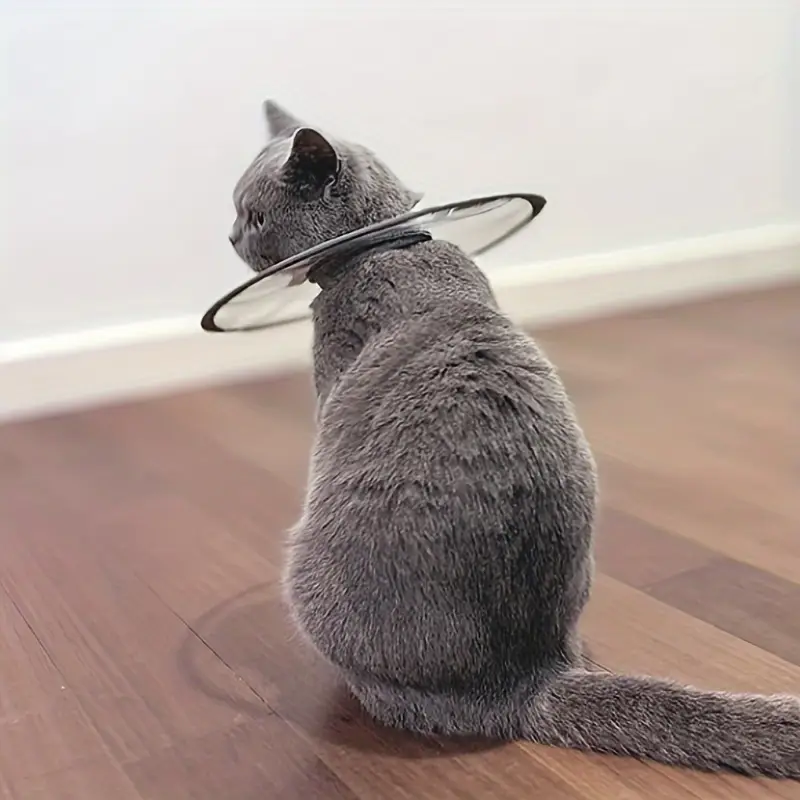 ArtemisTreats™ Recovery Collar - Post-Care Support Collection