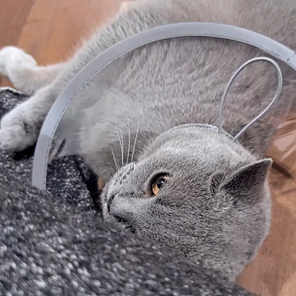 ArtemisTreats™ Recovery Collar - Post-Care Support Collection