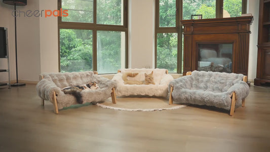 ArtemisTreats™ Elevated Family Lounge - Divine Comfort Collection