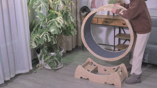 ArtemisTreats™ Indoor Running Wheel - Active Lifestyle Collection